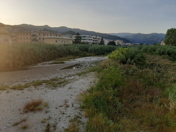 Albisole, appello delle Guardie Zoofile Volontarie in difesa della fauna selvatica del Sansobbia