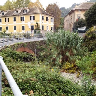 Savona, intervento urgente di pulizia del torrente Letimbro