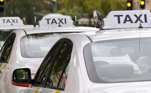 Donna lasciata a piedi dal taxi in stazione perchè aveva il cane, l'autista è allergico