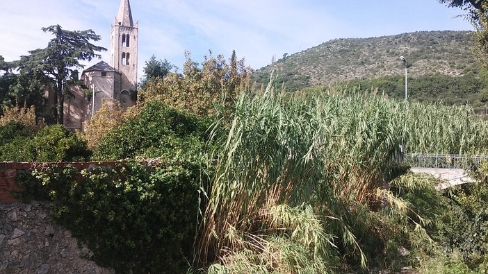 Borgio e Pietra si preparano al maltempo: al via pulizia torrente Bottassano