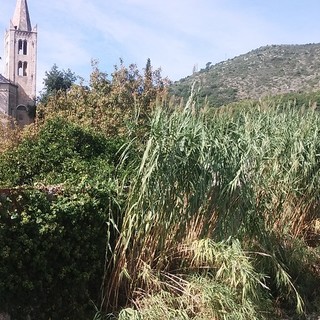 Borgio e Pietra si preparano al maltempo: al via pulizia torrente Bottassano