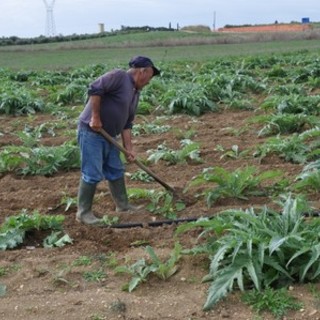 La Fondazione della ‘Riviera dei Fiori Onlus’ acquista una tenuta agricola per dare lavoro