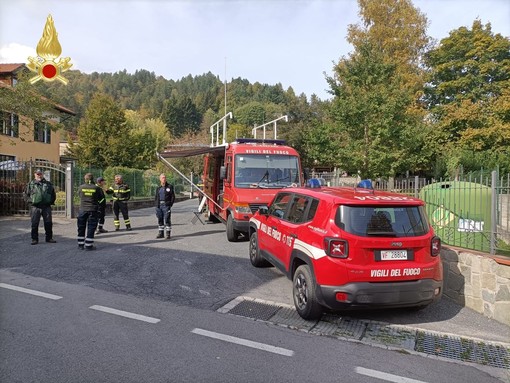 Trovato senza vita il fungaiolo disperso nei boschi di Calizzano