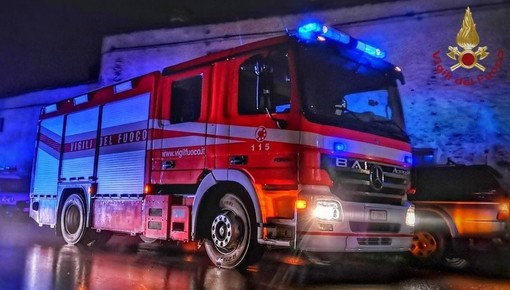 Albero crolla sulla sede stradale: paura a Vado Ligure, vigili del fuoco mobilitati