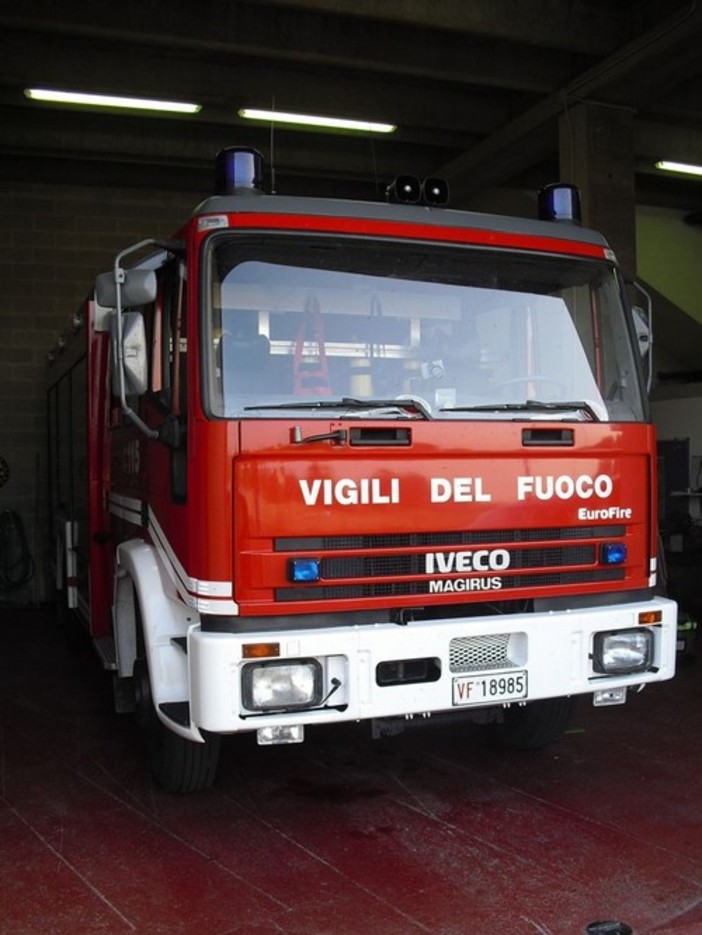 Savona: alberi pericolanti, necessario l'intervento dei vigili del fuoco