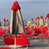 Una volpe in spiaggia: l'avvistamento a Loano tra sdraio e ombrelloni (VIDEO)