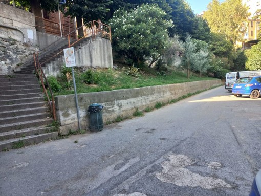 Savona, intervento di Polizia locale e Ata per la bonifica di via Falletti