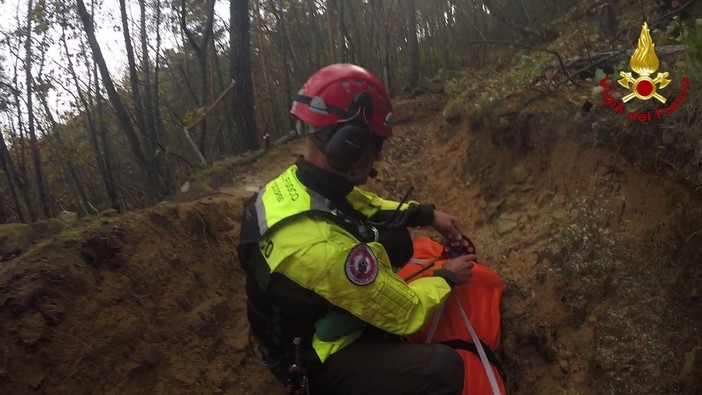 Ritrovato cadavere in un bosco: potrebbe essere il pegliese Saverio Tagliafierro