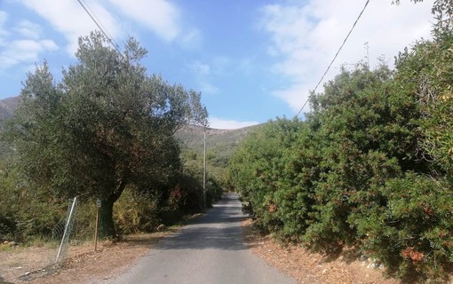 Ceriale, giro di vite per la pulizia di terreni privati e tutela del verde (FOTO)