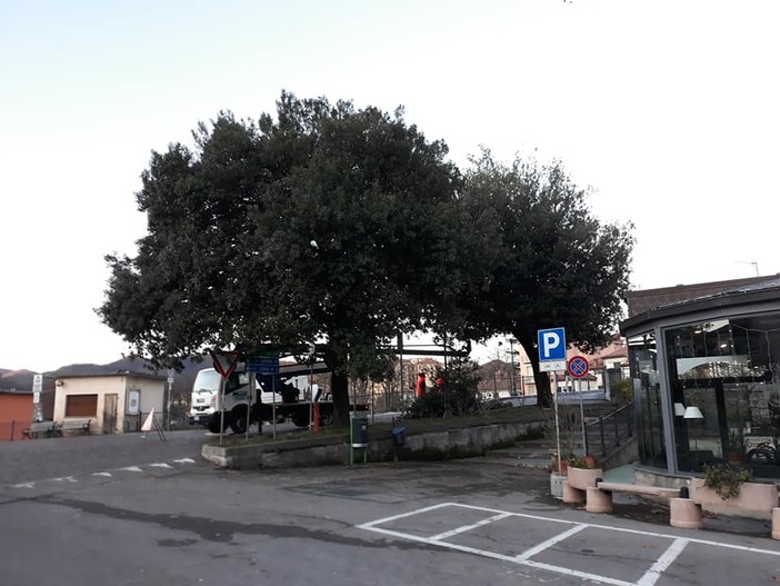 Carcare, messa in sicurezza e potatura del verde nelle aree pubbliche (FOTO)