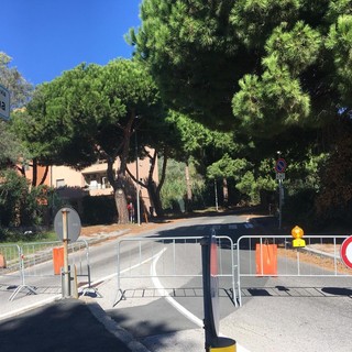 Savona, rami pericolanti in via Bresciana: chiusa la strada