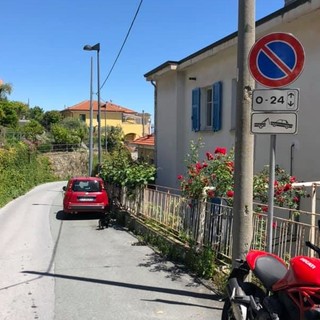 Savona, posizionati nuovi divieti di sosta su via Bellavista, la rabbia dei residenti: &quot;E ora dove posteggeremo le auto?&quot;