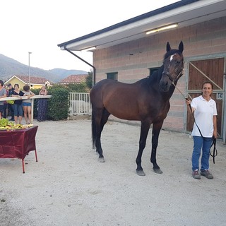 Villanova d'Albenga, l'Ippodromo dei Fiori accoglie Varenne