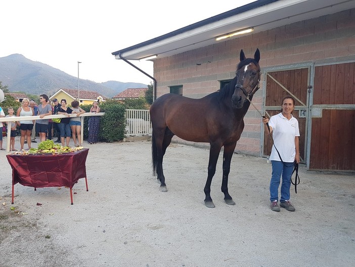 Villanova d'Albenga, l'Ippodromo dei Fiori accoglie Varenne