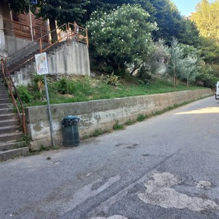 Savona, intervento di Polizia locale e Ata per la bonifica di via Falletti