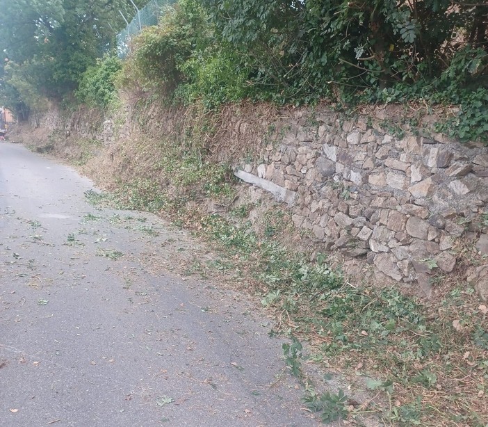 Savona, il 'fai da te' dei residenti di via alla Stra per la pulizia di erbe e cespugli dalla strada