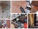 Varigotti, vandali nella chiesa di San Lorenzo Vecchio: danni e offerte trafugate (FOTO)