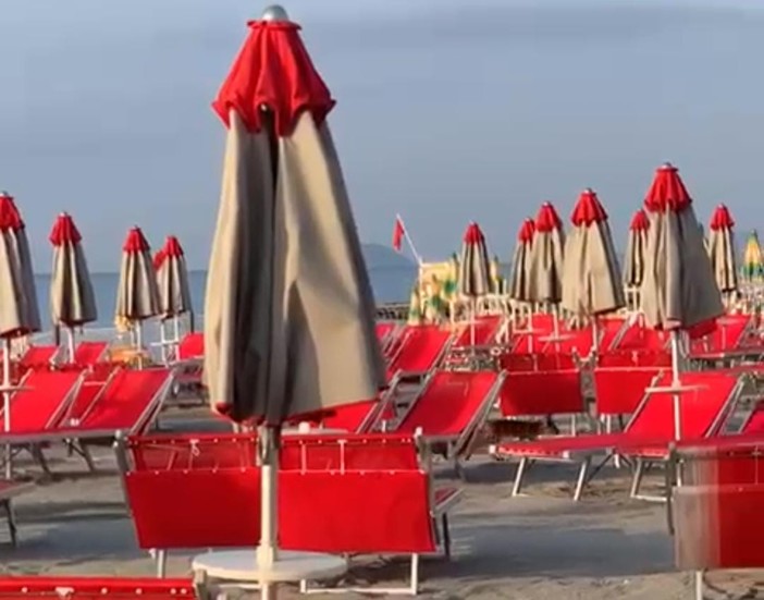 Una volpe in spiaggia: l'avvistamento a Loano tra sdraio e ombrelloni (VIDEO)