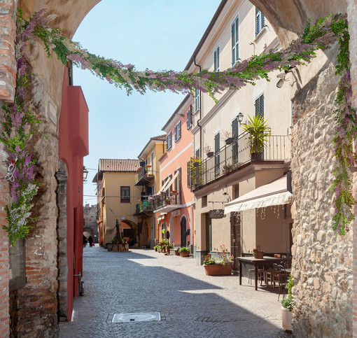 Villanova d’Albenga, la pittrice Binny Dobelli è “Premio donna delle violette” 2024