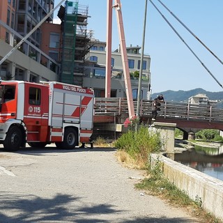 Savona, poca acqua nell'oasi faunistica del Letimbro: intervento dei vigili del fuoco