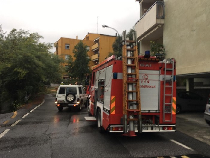 Quadri elettrici in fiamme, alberi crollati e cavi danneggiati: lavoro intenso per i vigili del fuoco