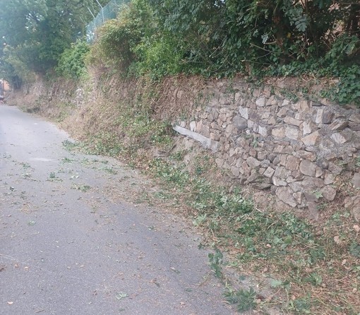 Savona, il 'fai da te' dei residenti di via alla Stra per la pulizia di erbe e cespugli dalla strada