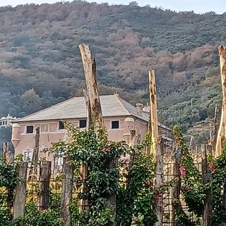 Albenga, villa Colombera cambierà destinazione: ok dal Comune per la trasformazione in agriturismo