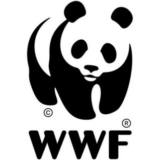 Taglio pini domestici nel savonese, il WWF presenta ai sindaci di Laigueglia e Loano istanza di accesso agli atti autorizzativi