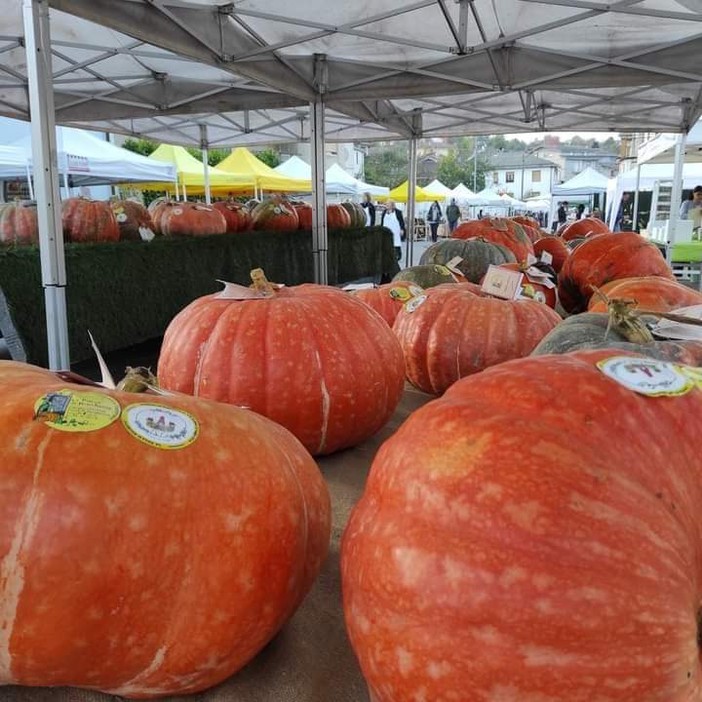 Rocchetta di Cengio: fervono i preparativi per la ventesima edizione di “ZuccaInPiazza”