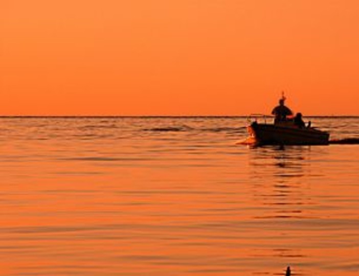 Liguria: il nostro mare gode di ottima salute