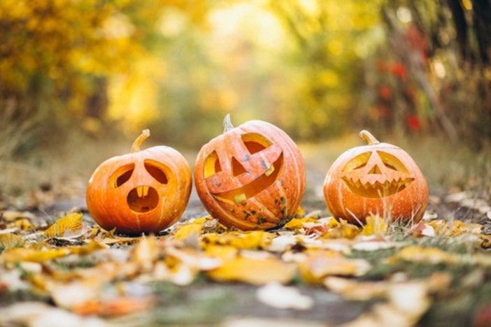 Nuove collezioni e festa di Halloween al Molo 8.44 di Vado Ligure