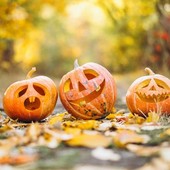 Nuove collezioni e festa di Halloween al Molo 8.44 di Vado Ligure